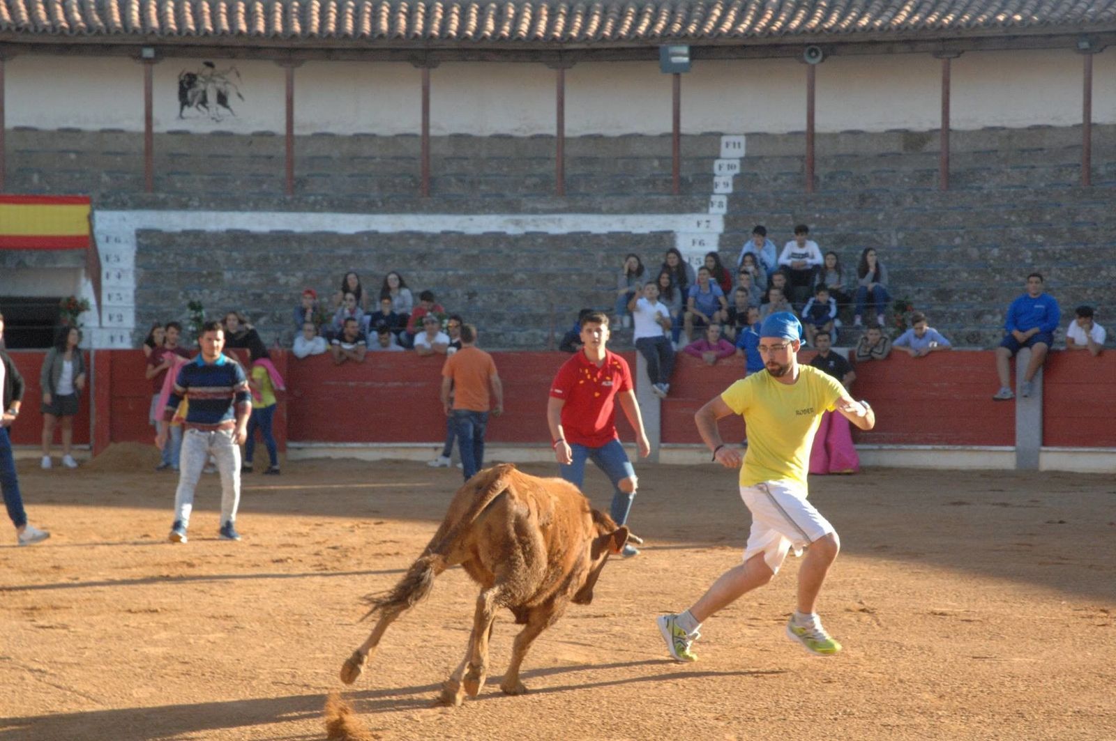 Volteretas y revolcones en las vaquillas del aguardiente de Guijuelo