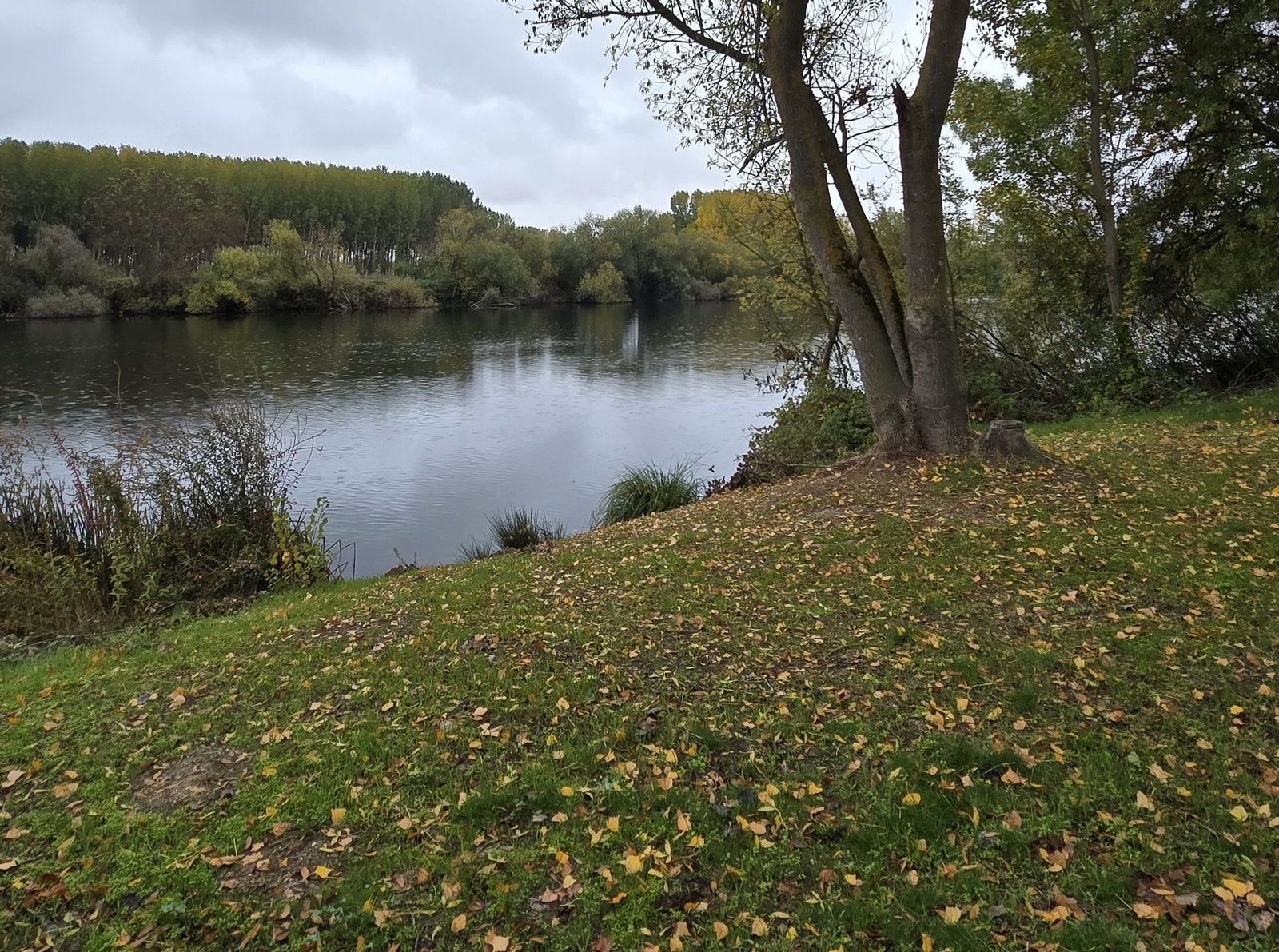 Ribera del Río Tormes