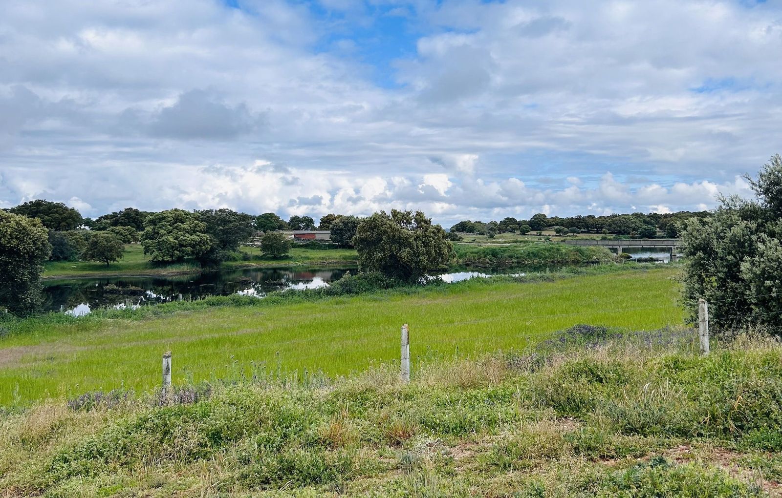 Marcha senderista Sardón de los frailes. Foto de archivo
