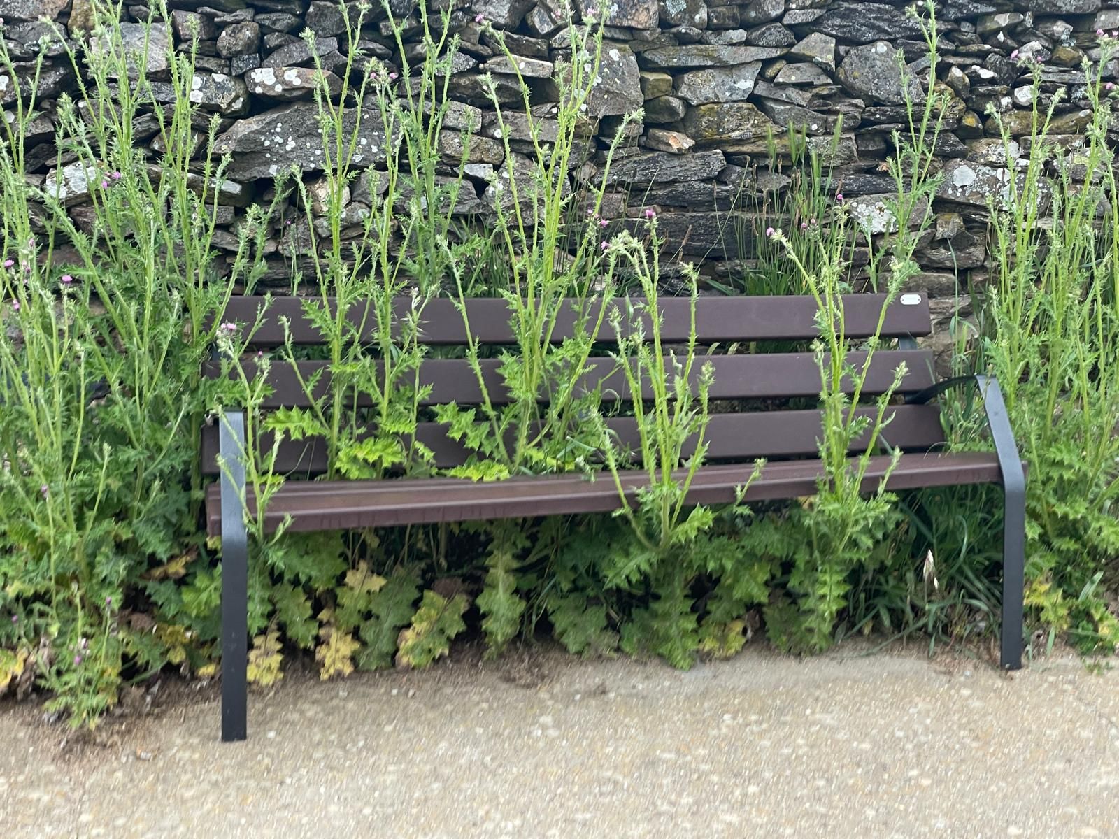 Zamora Si solicita limpieza y desbroces adecuados de parques y zonas de ocio en la localidad de Rabanales