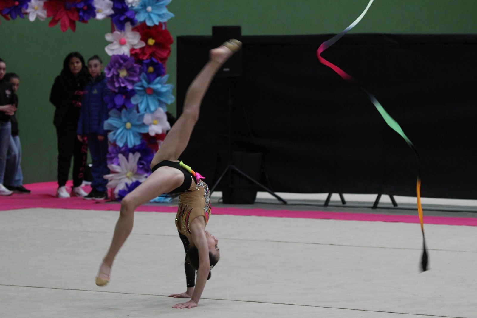 Campeonato Autonómico individual y equipos de gimnasia