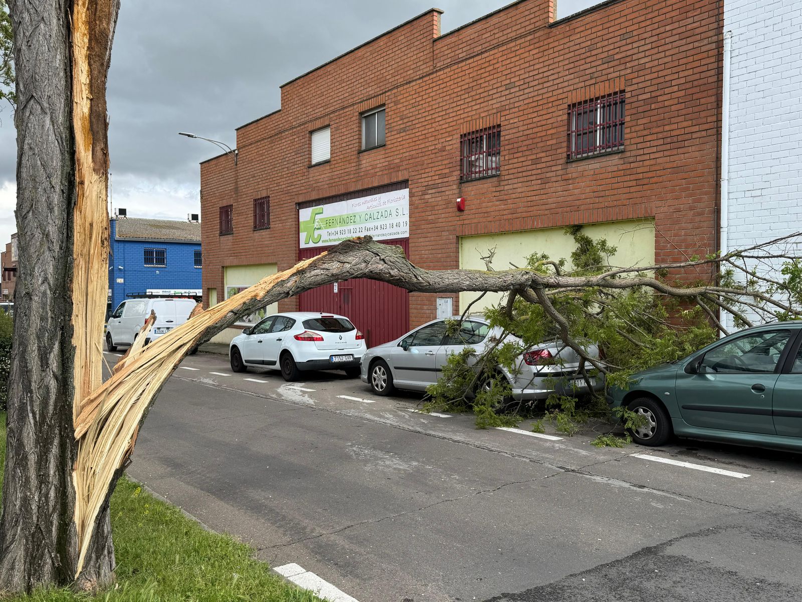 Una rama de un árbol de gran tamaño cae sobre unos vehículos aparcados y corta un tramo de la avenida de La Aldehuela. Foto Belén Hurtado