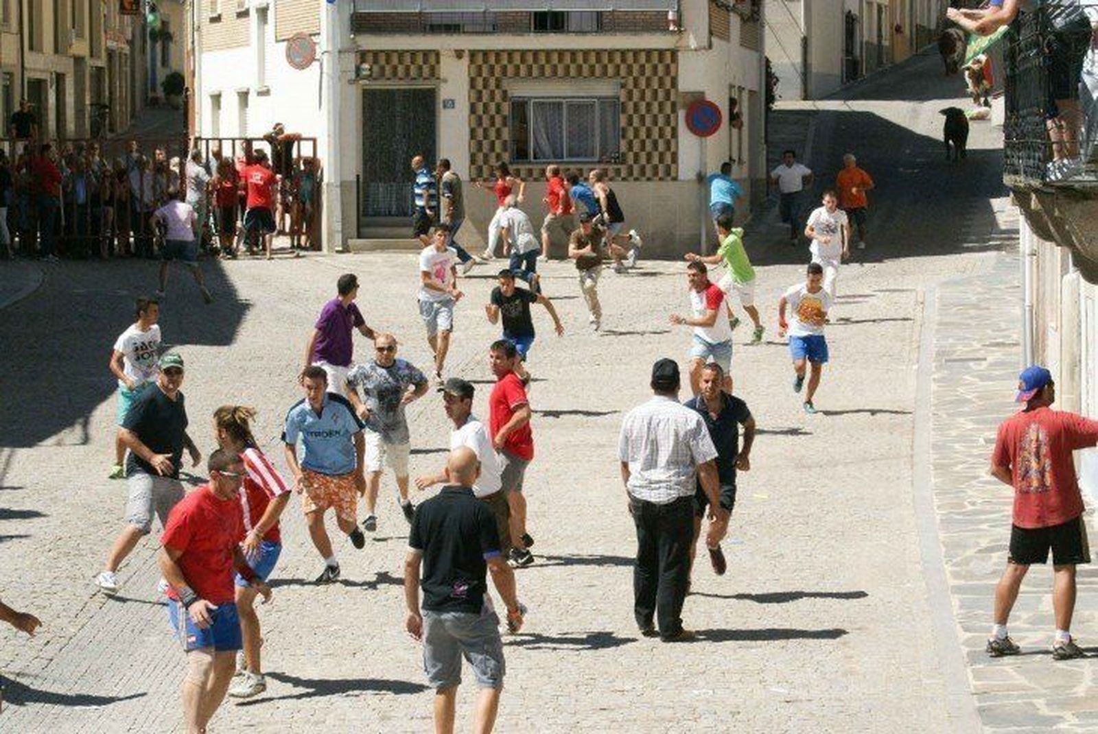 Las fiestas del Toro no defraudan