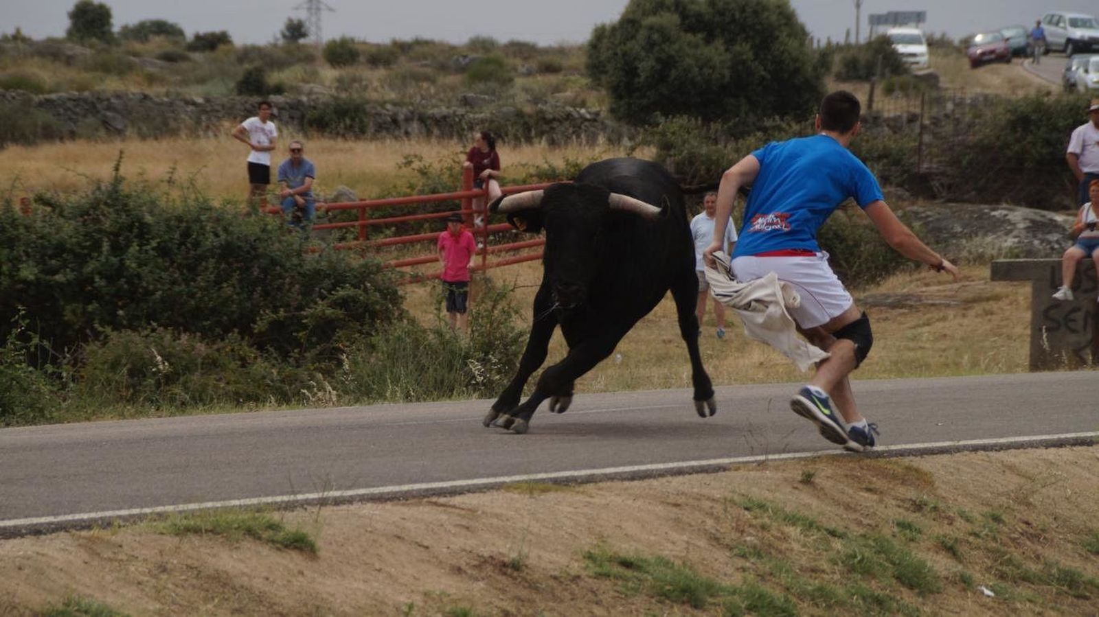 Fiestas en Ledesma 2017: espantos lunes