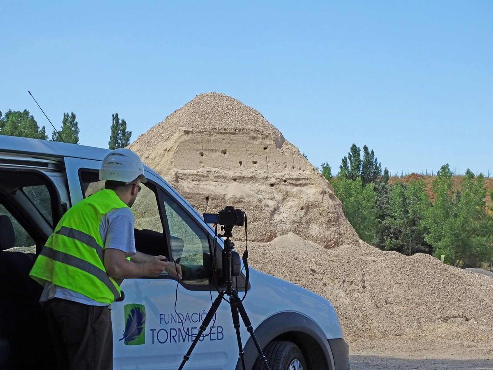 El Ayuntamiento de Santa Marta estudia la creación en la Isla del Soto de nidos artificiales para el avión zapador