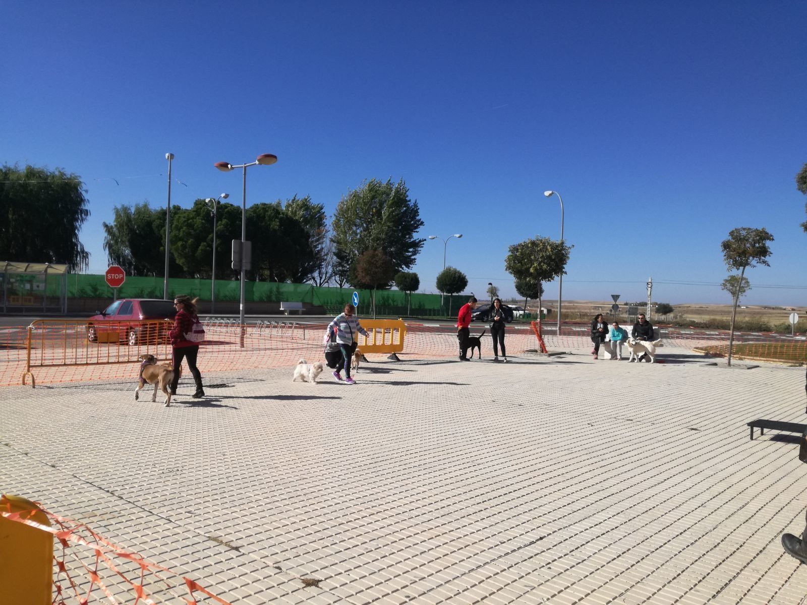 Curso Canino en Villares