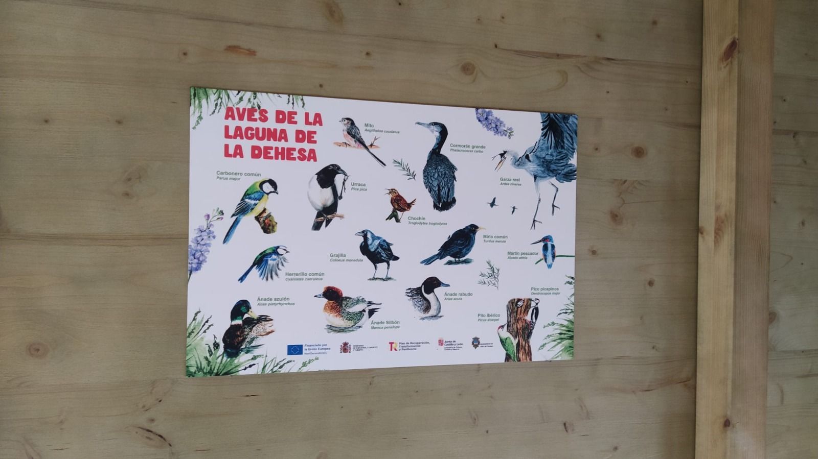 Señaletica Observatorio de aves de la Laguna de Alba de Tormes