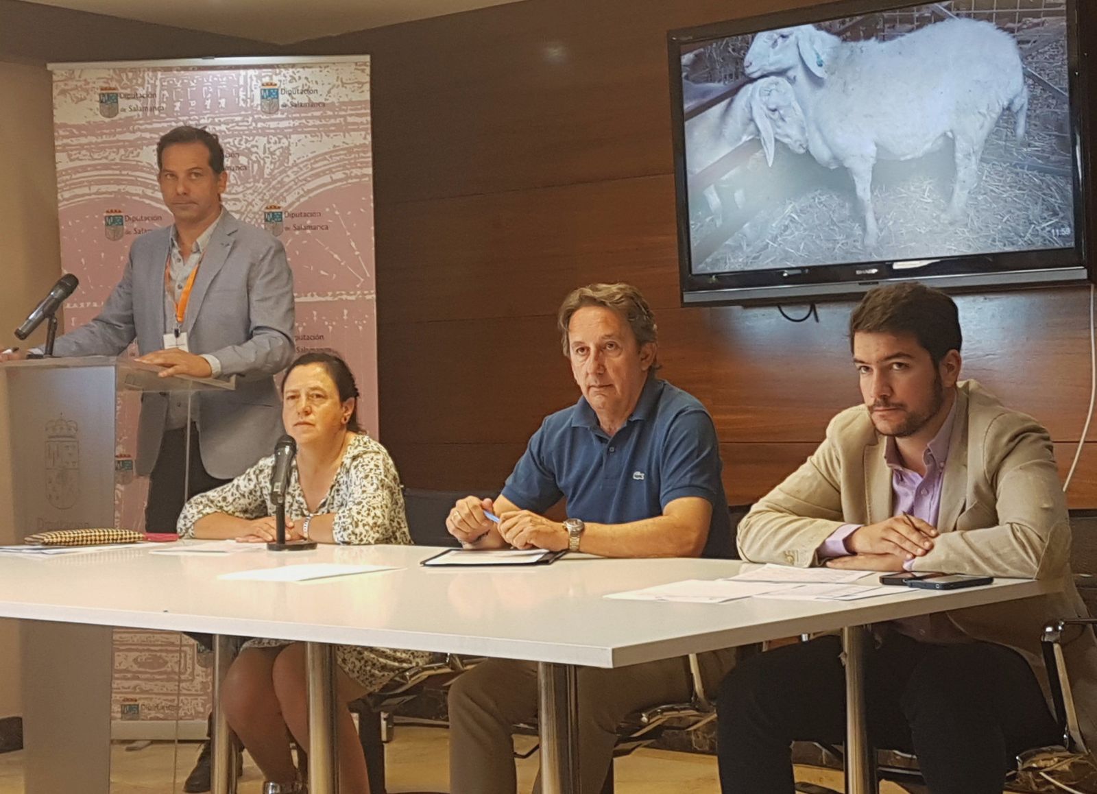 Cinco ejemplares de Assaf y nueve de Merina adjudicados en la Subasta Nacional de Ovino