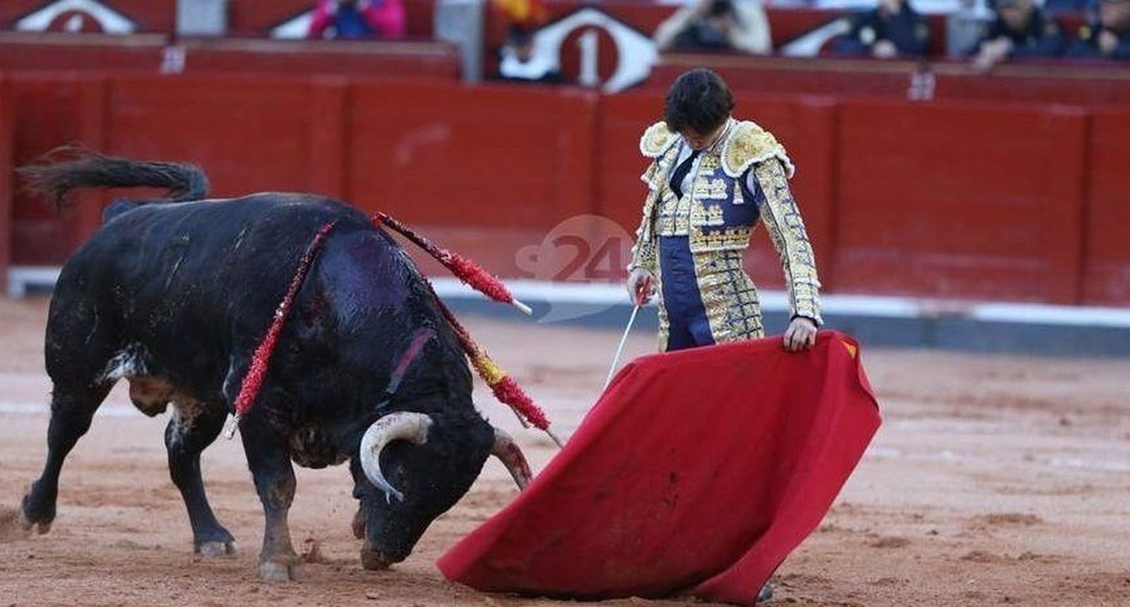 Puerta Grande para Juan del Álamo en Pontevedra