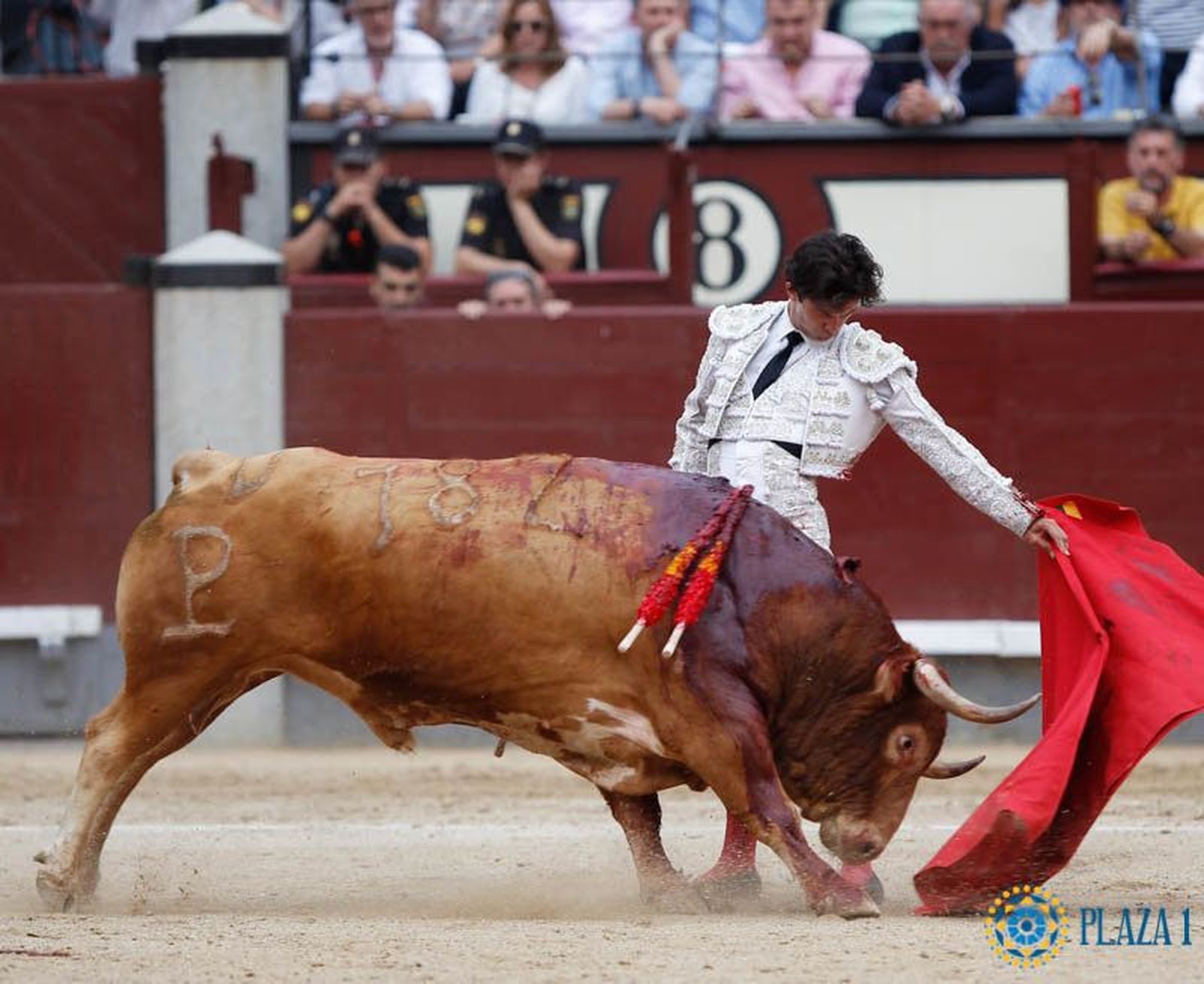 Lote imposible para Juan del Álamo en Burgos