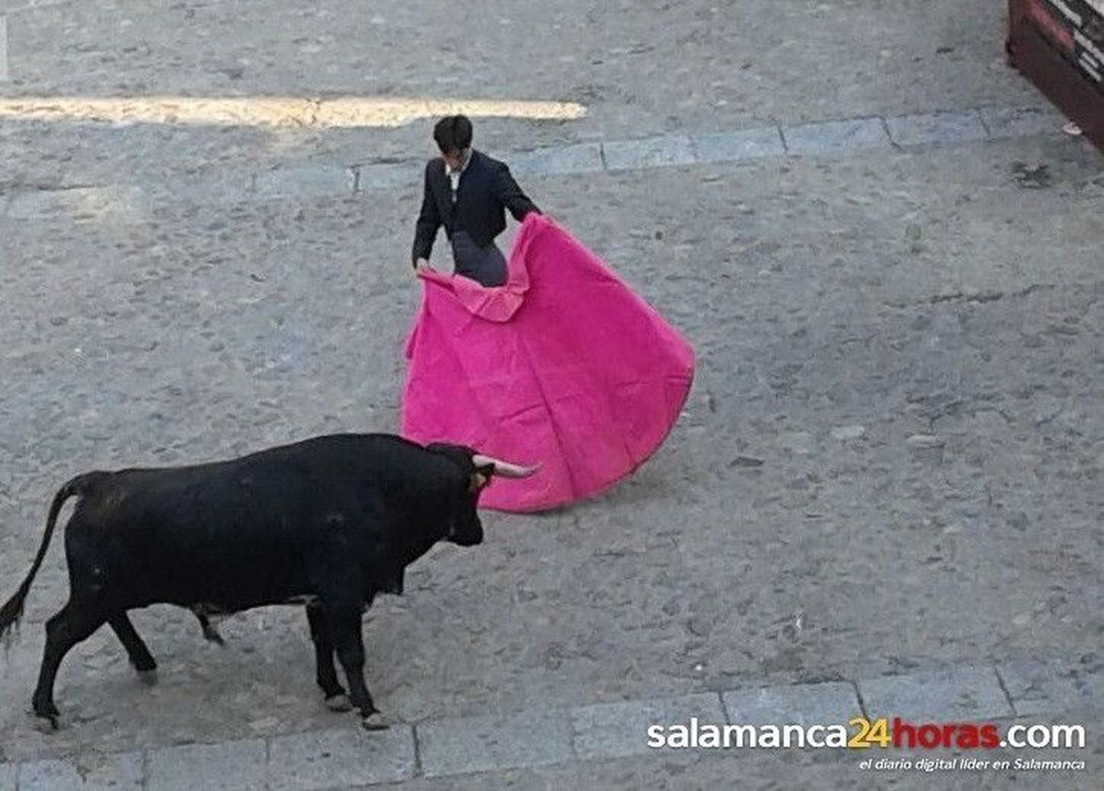 Los toros entran en escena
