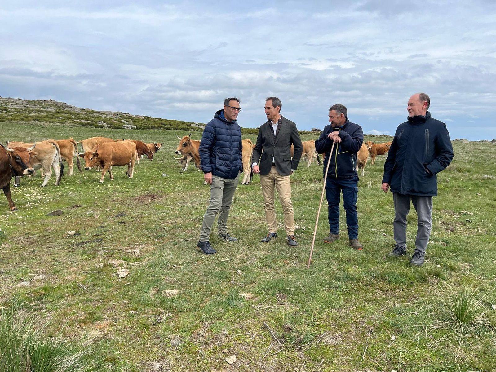 Visita a una explotación ganadera de vacuno ecológico