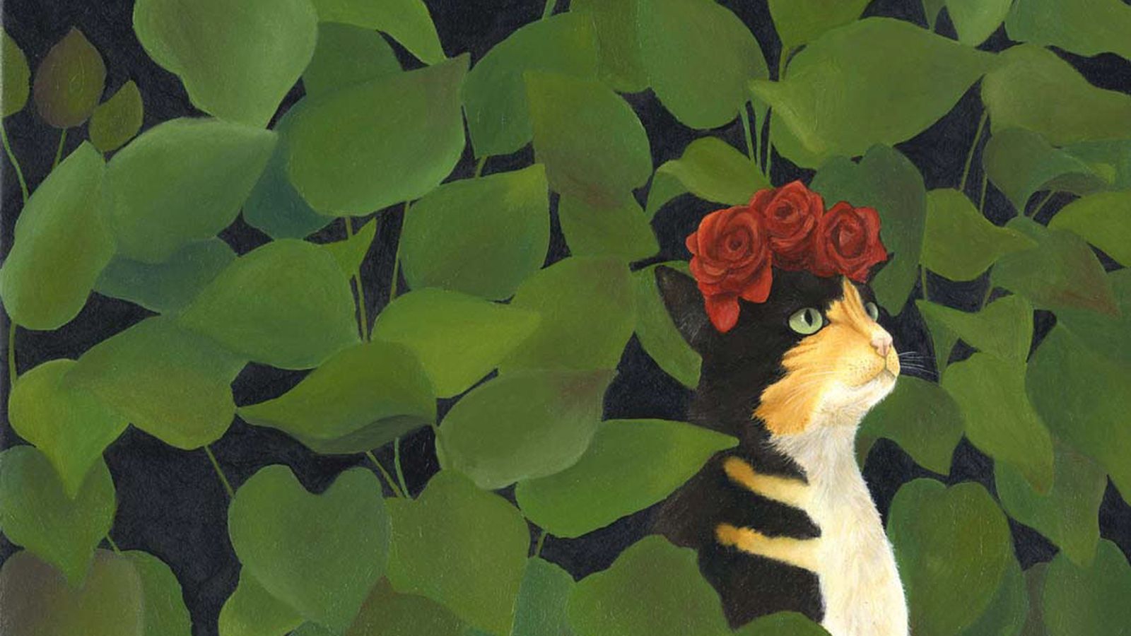 Pie de foto de mi imagen