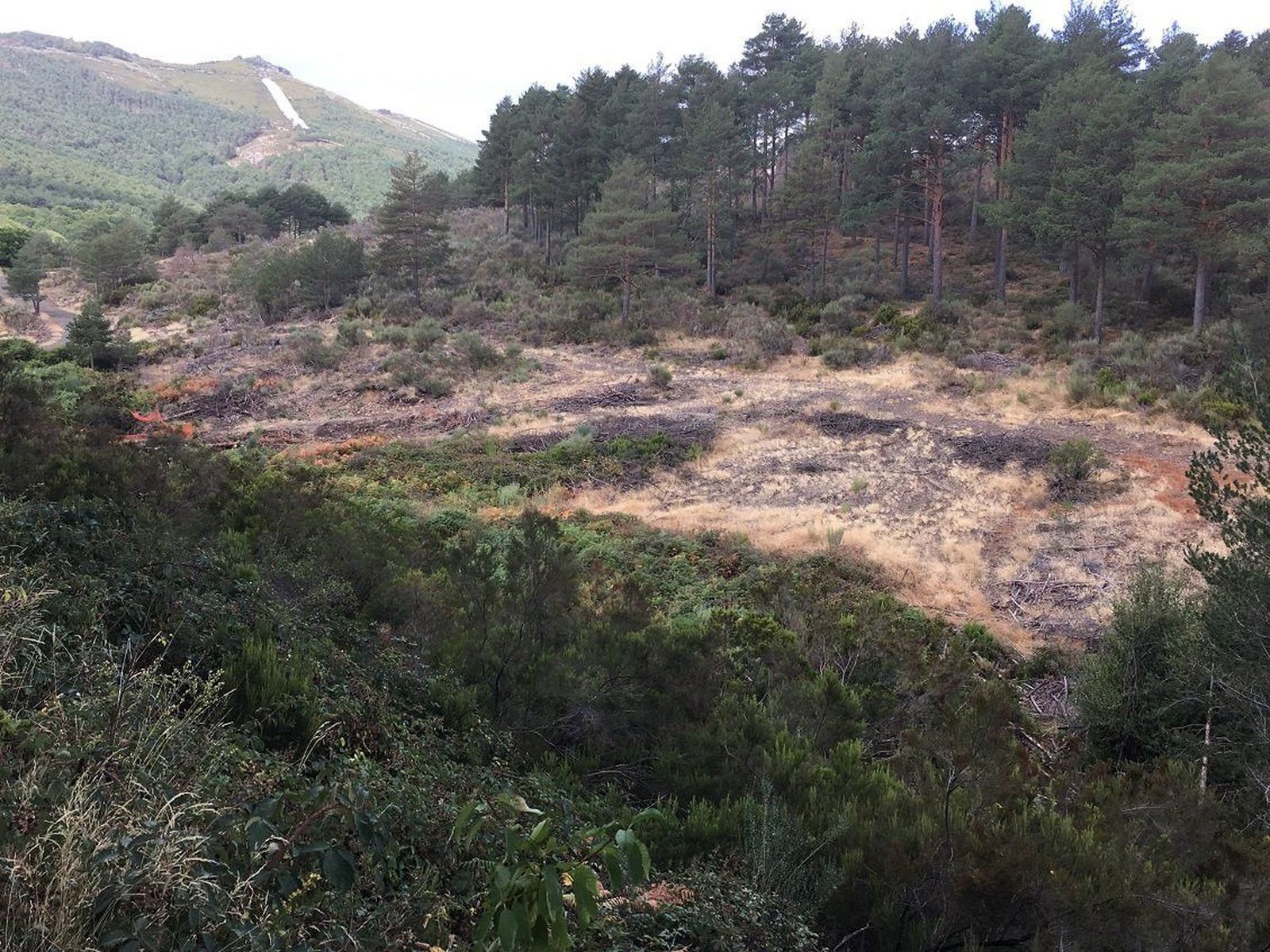 Comienzan las obras de construcción del azud de La Alberca