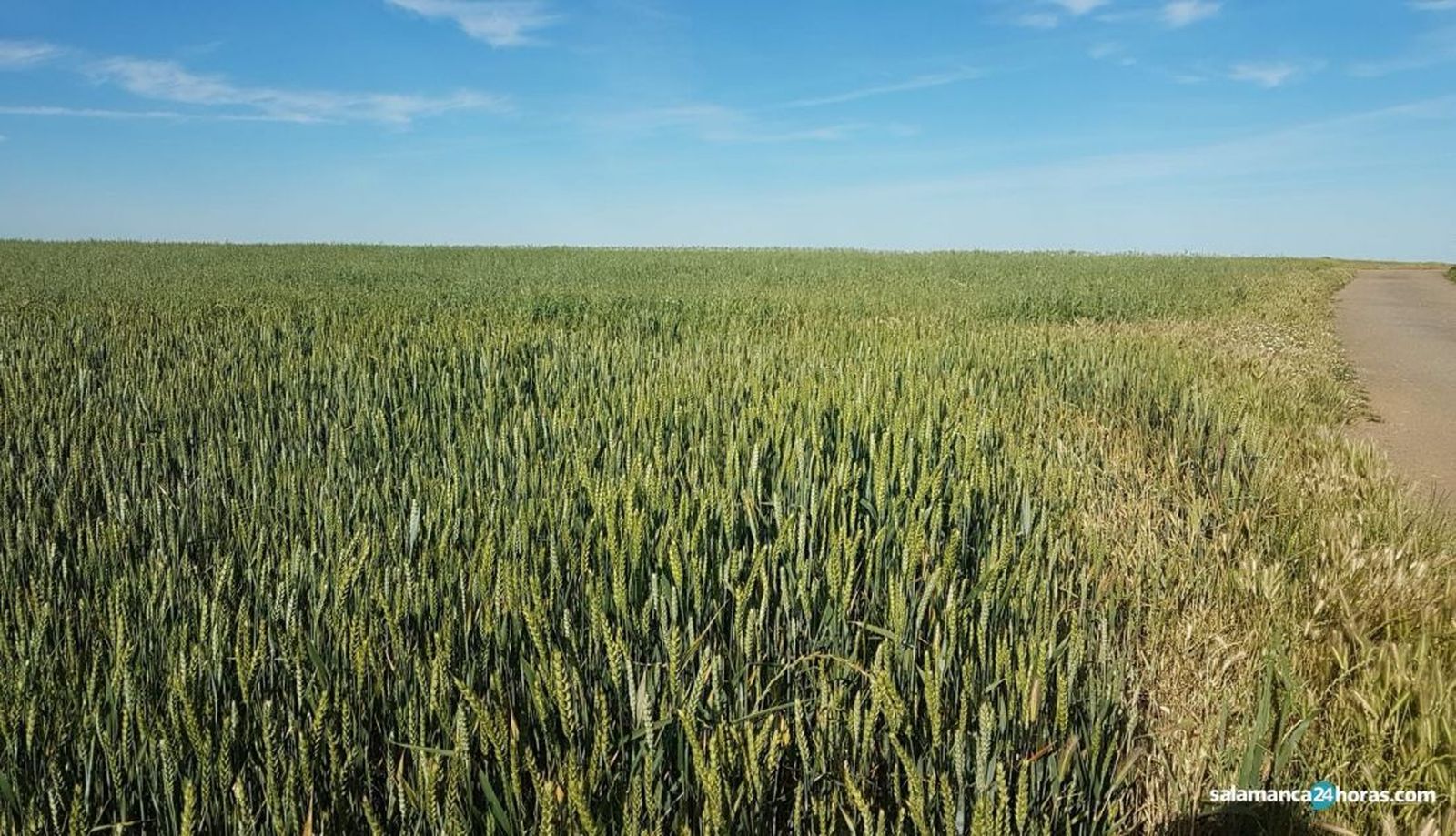 PAC. Foto de archivo