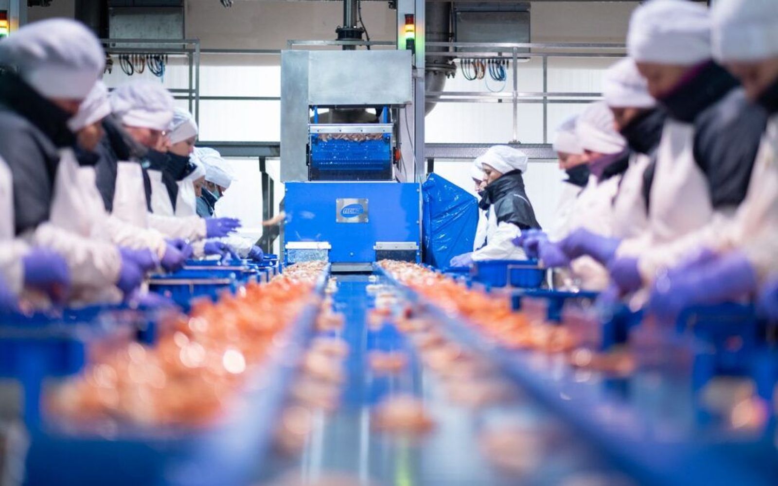 Industria alimentaria