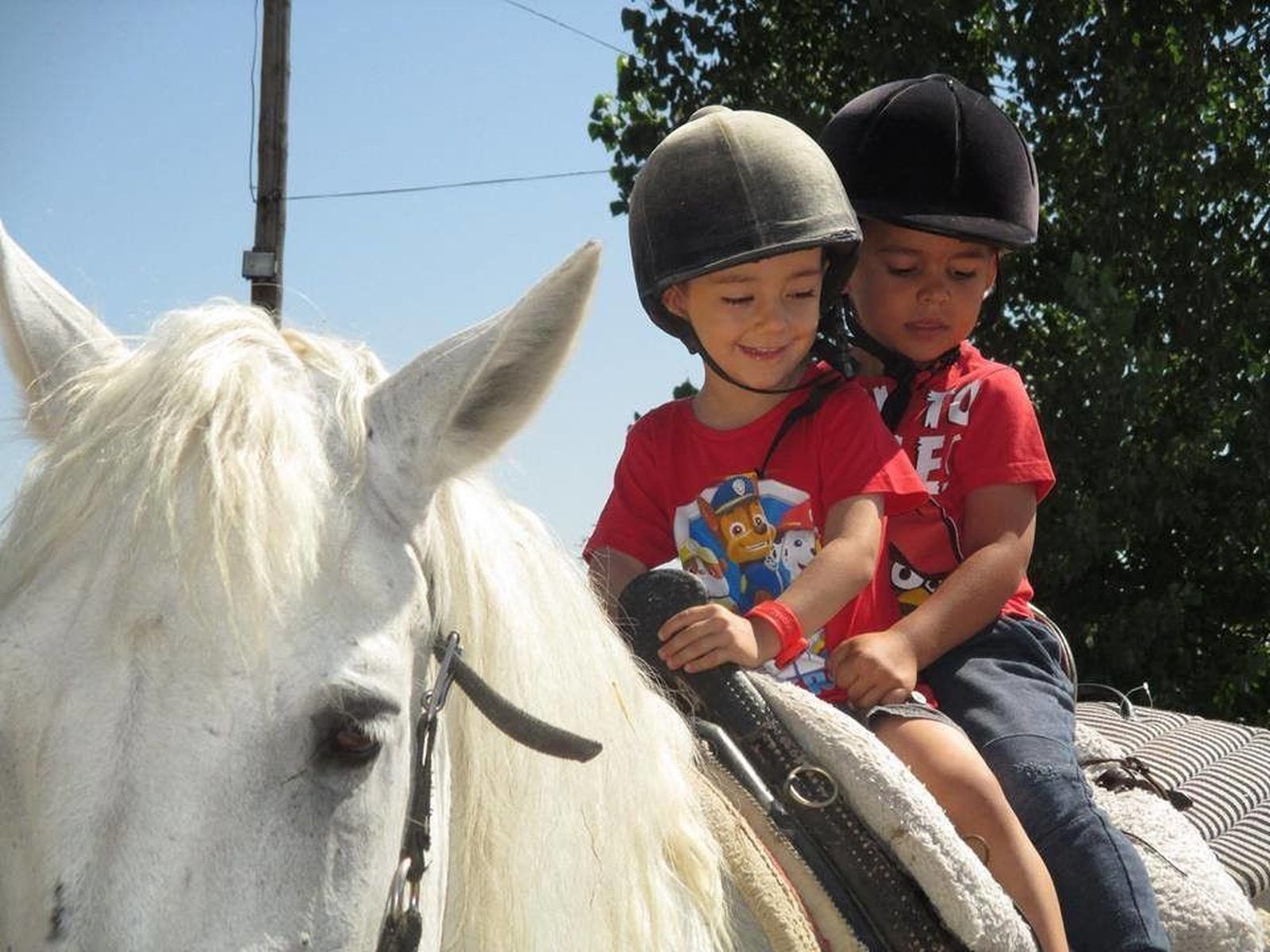 Los pequeños que susurraban a los caballos