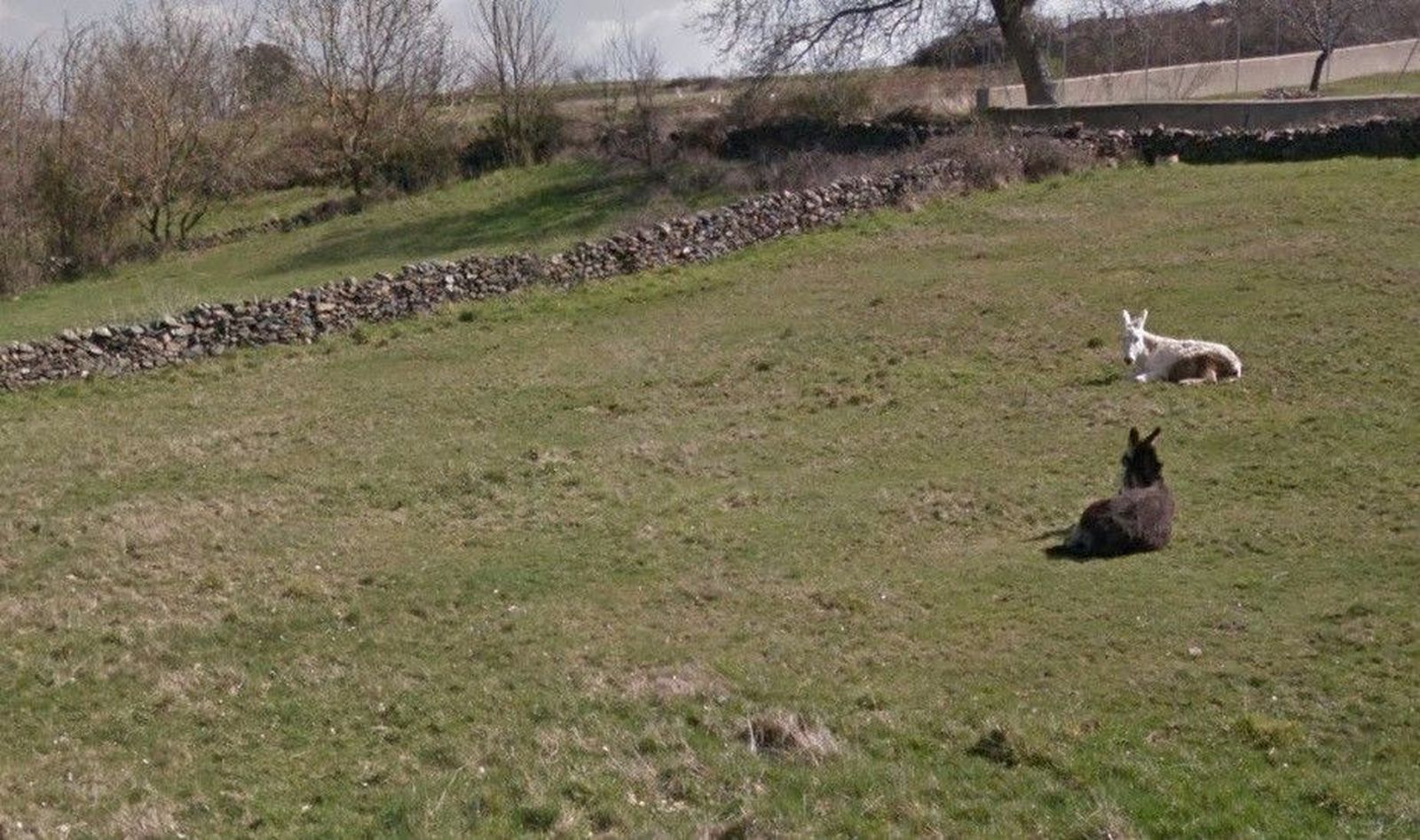 Culmina el proceso de concentración parcelaria