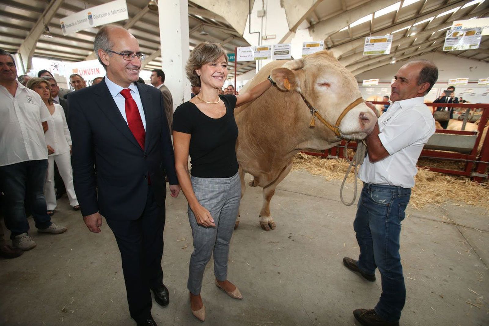 532 expositores y 1.675 ejemplares de ganado puro en 43.700 metros cuadrados