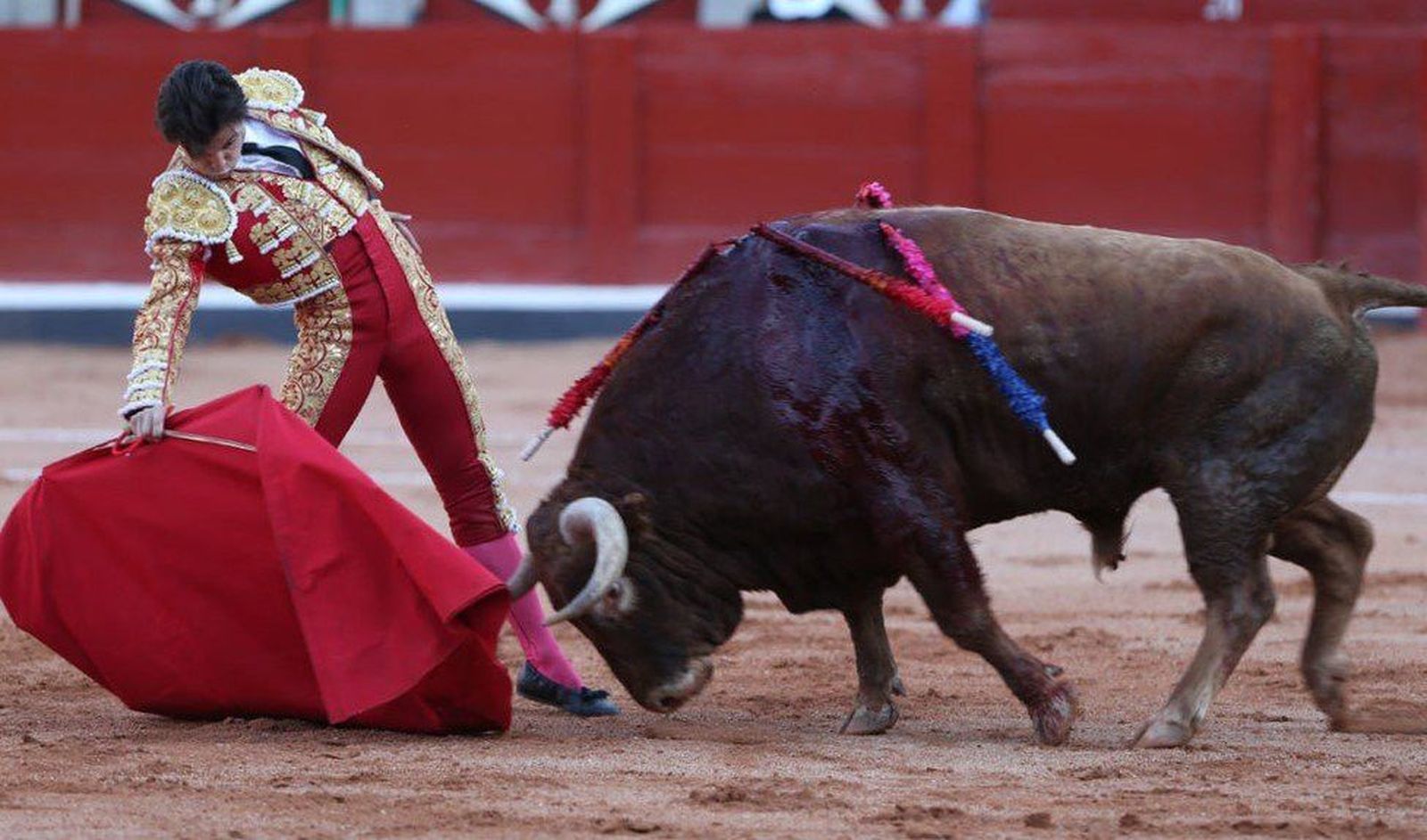 La Peña Taurina 'El Viti' premia a Juan del Álamo como triunfador de la Feria 2017