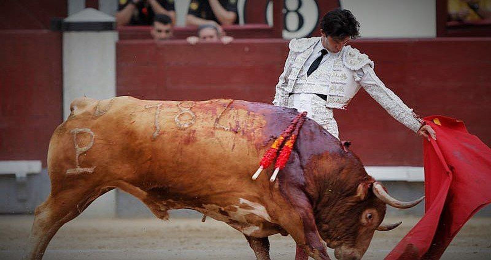 Logroño, nueva cita en el calendario de Juan del Álamo