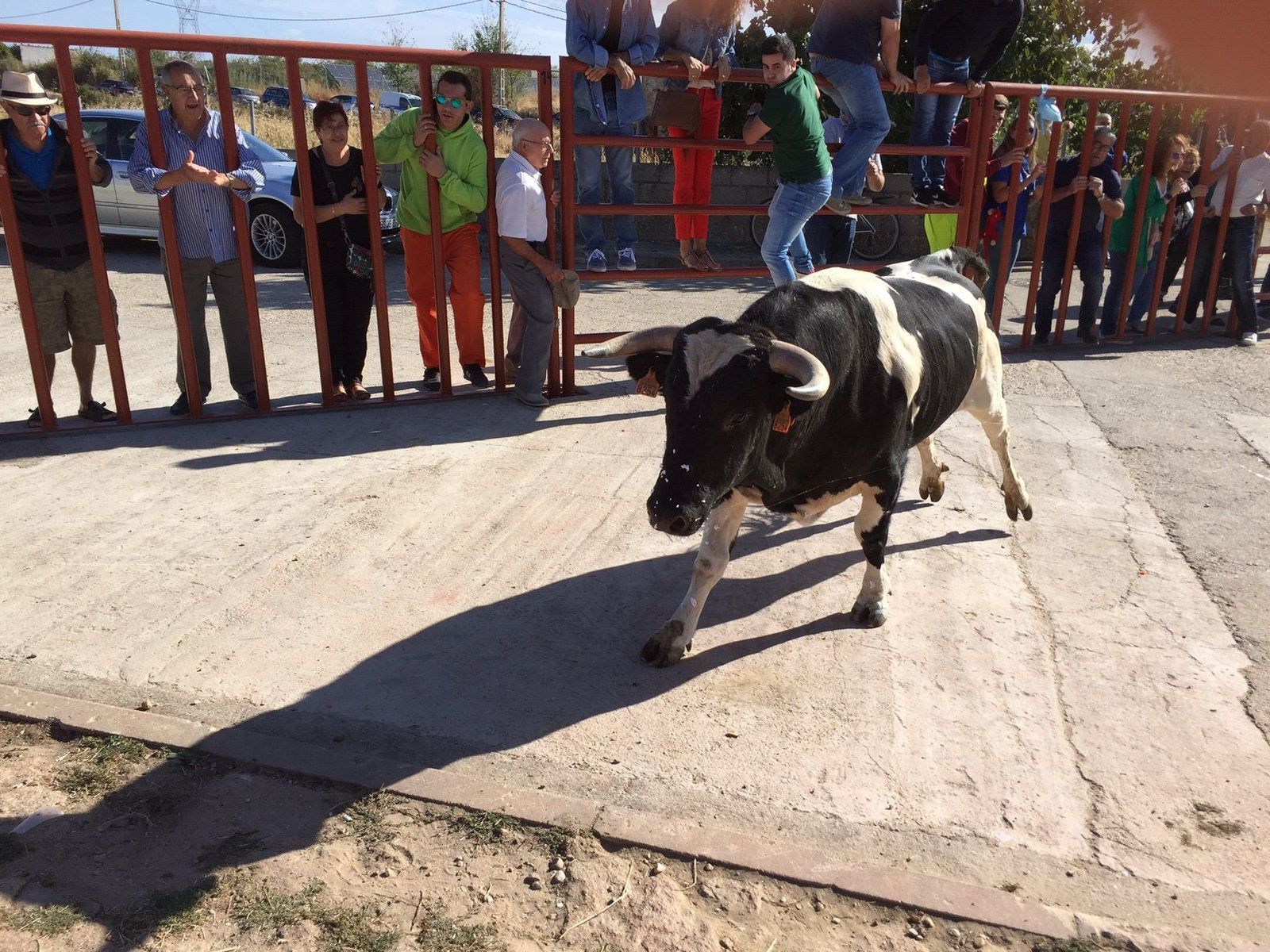 Alejandro Mora y Antonio Grande cortan cuatro orejas y un rabo en Pereña de la Ribera