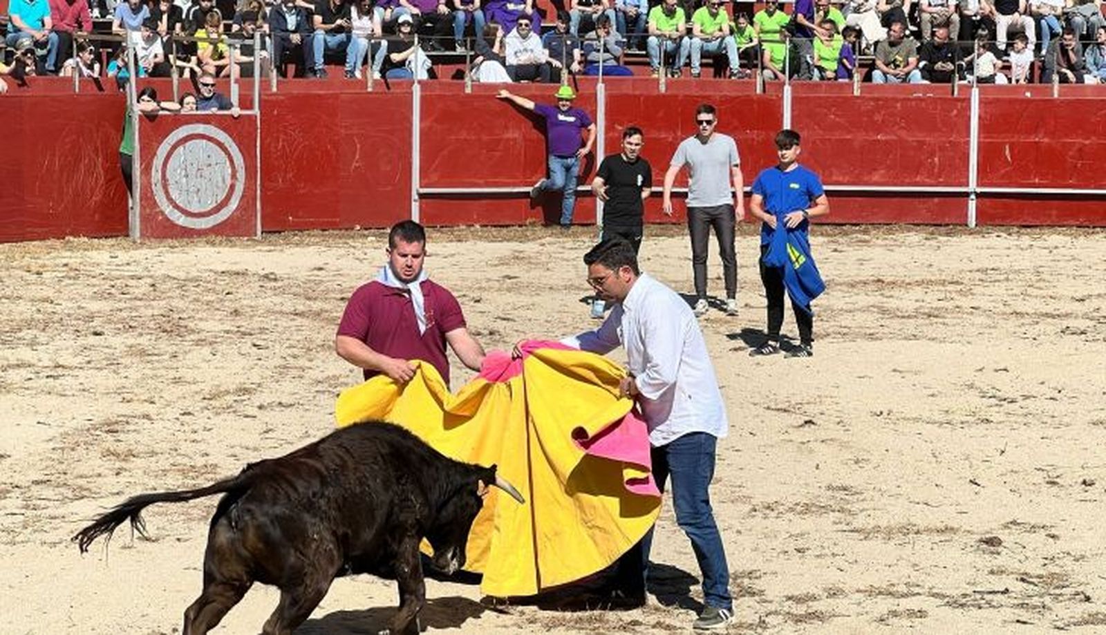 Suelta de vaquillas de Doñinos