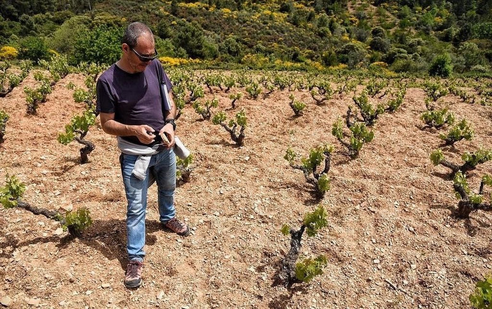 Salamanca disfruta este sábado del ‘Geolodía’