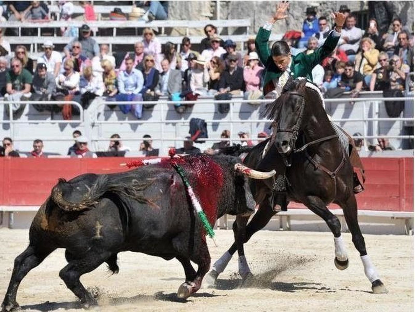La rejoneadora Lea Vicens, principal atractivo del festejo de rejones de la Feria Taurina de Guijuelo 2017