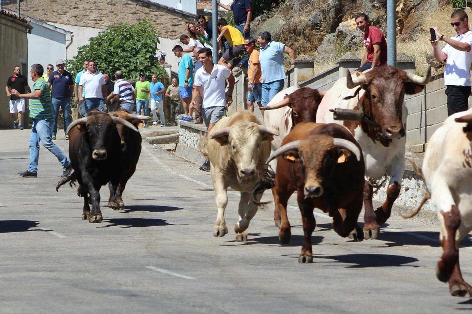 Rapidez y limpieza en el primero de los encierros en Saucelle