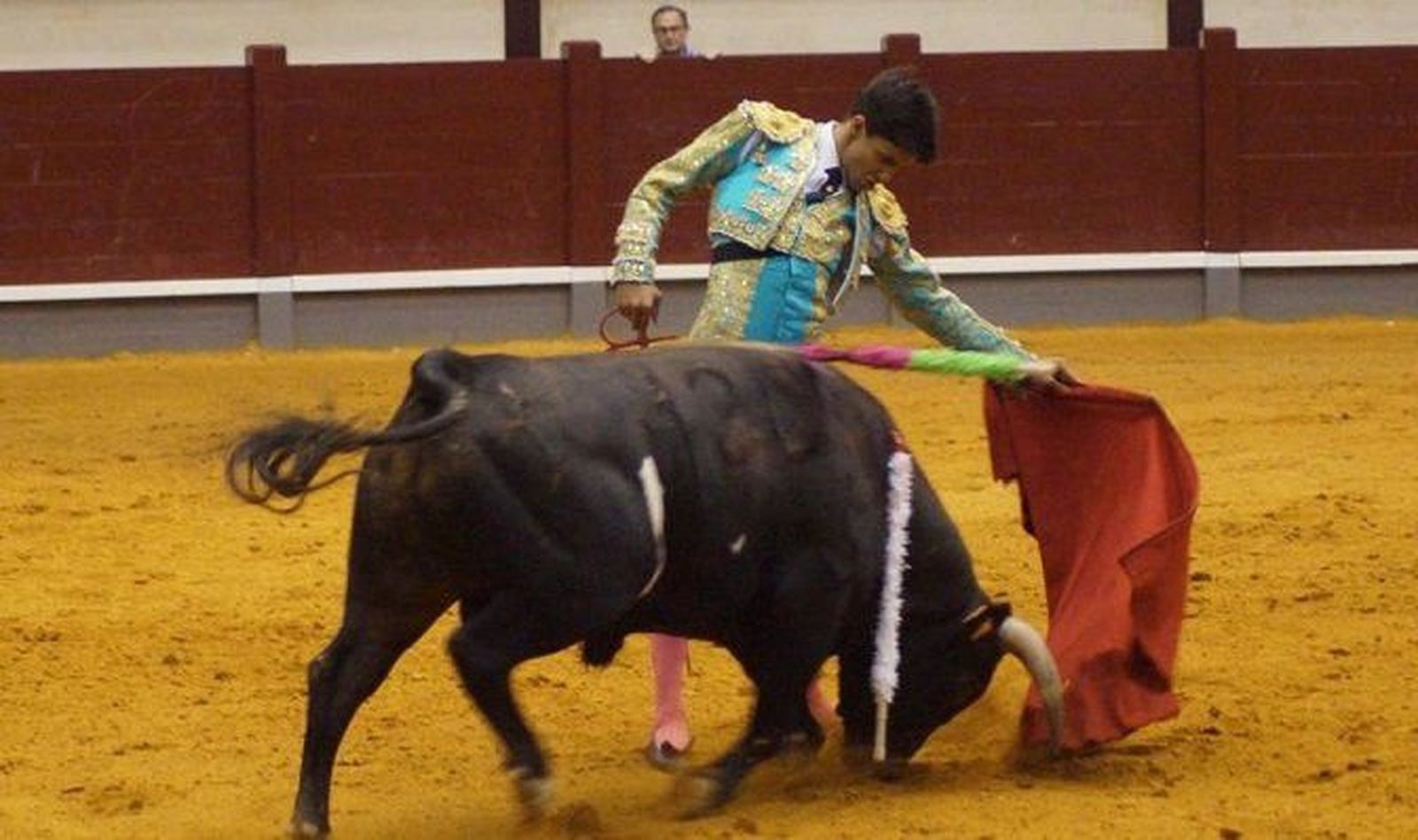 Dos novilladas en las fiestas de Tamames