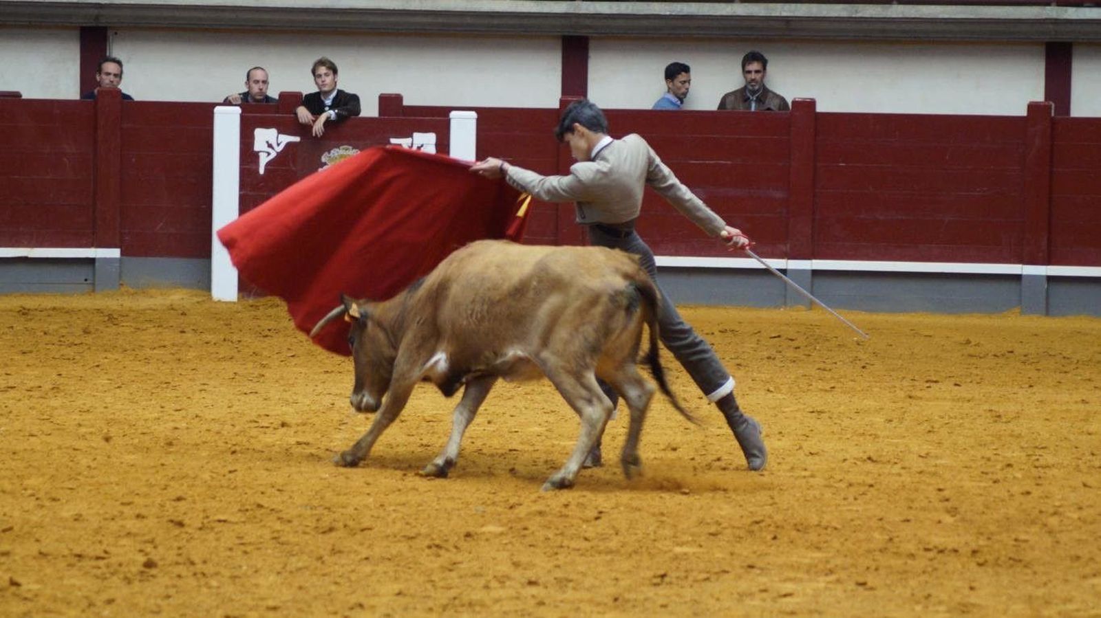 Definidos los finalistas del bolsín taurino de Alba de Tormes