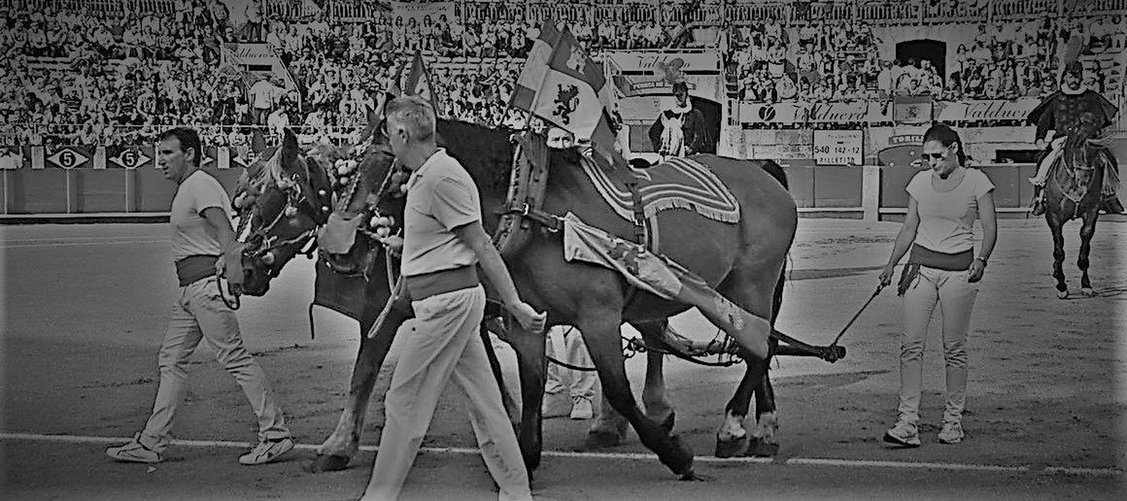 Un laberinto interminable