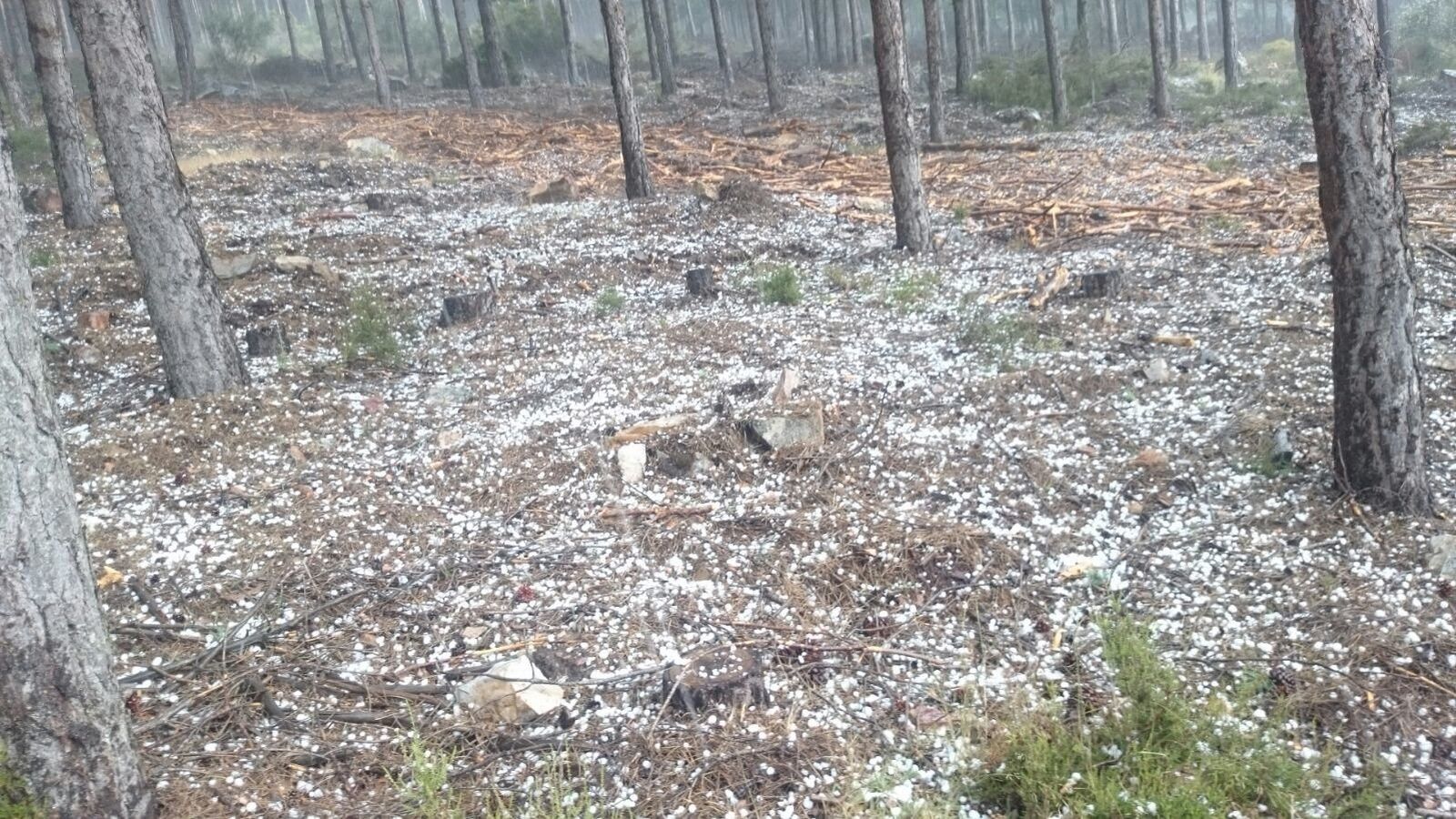 Fuerte granizada en la zona de Tamames y Navarredonda de la Rinconada