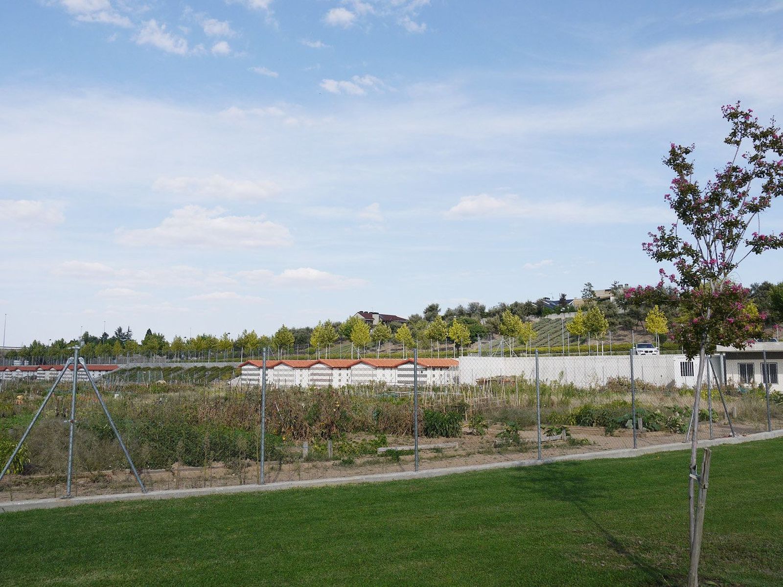 Carbajosa abre el plazo de solicitud para optar a uno de los 130 huertos familiares