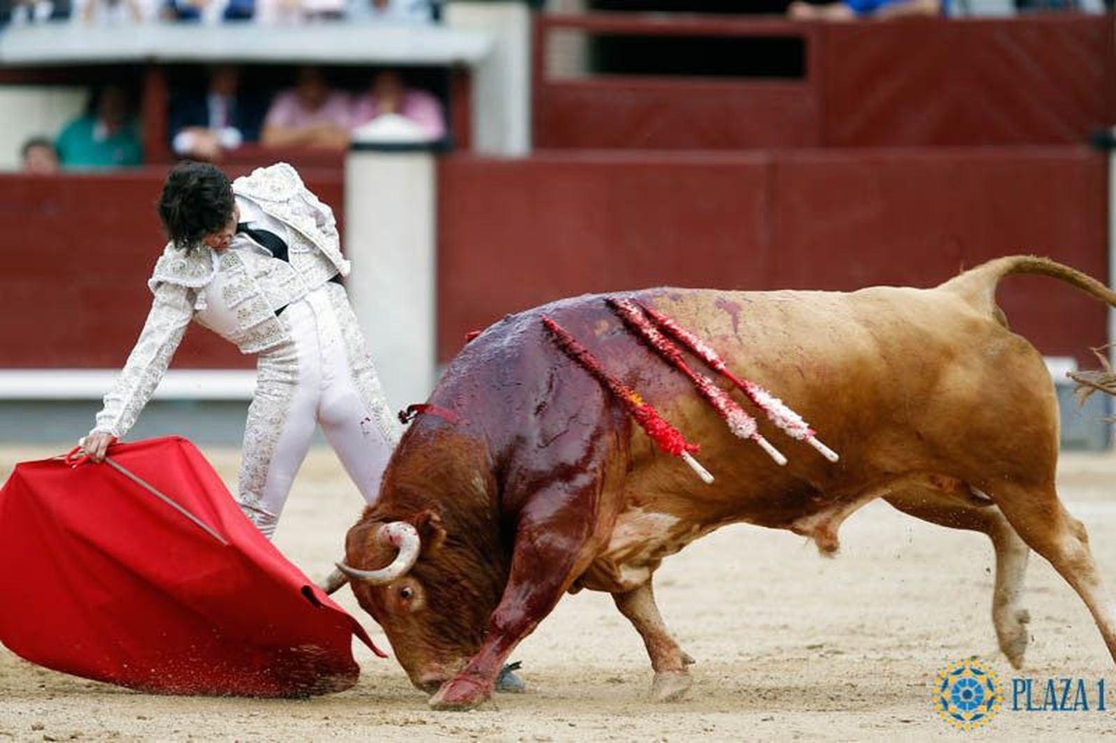 Ovación para Juan del Álamo en Mont de Marsan