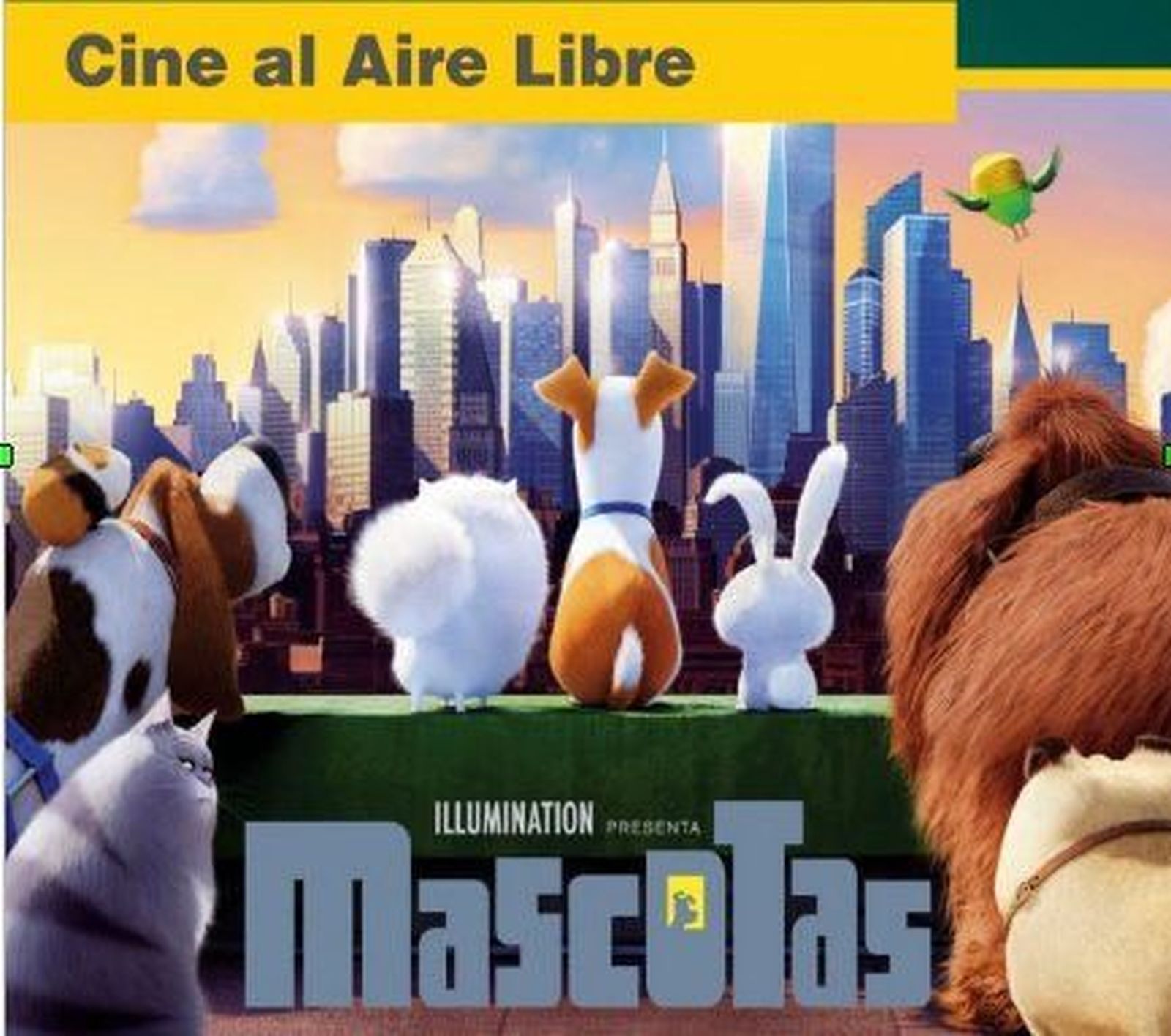 Caja Rural de Salamanca proyecta ‘Cine al aire libre’ en Béjar