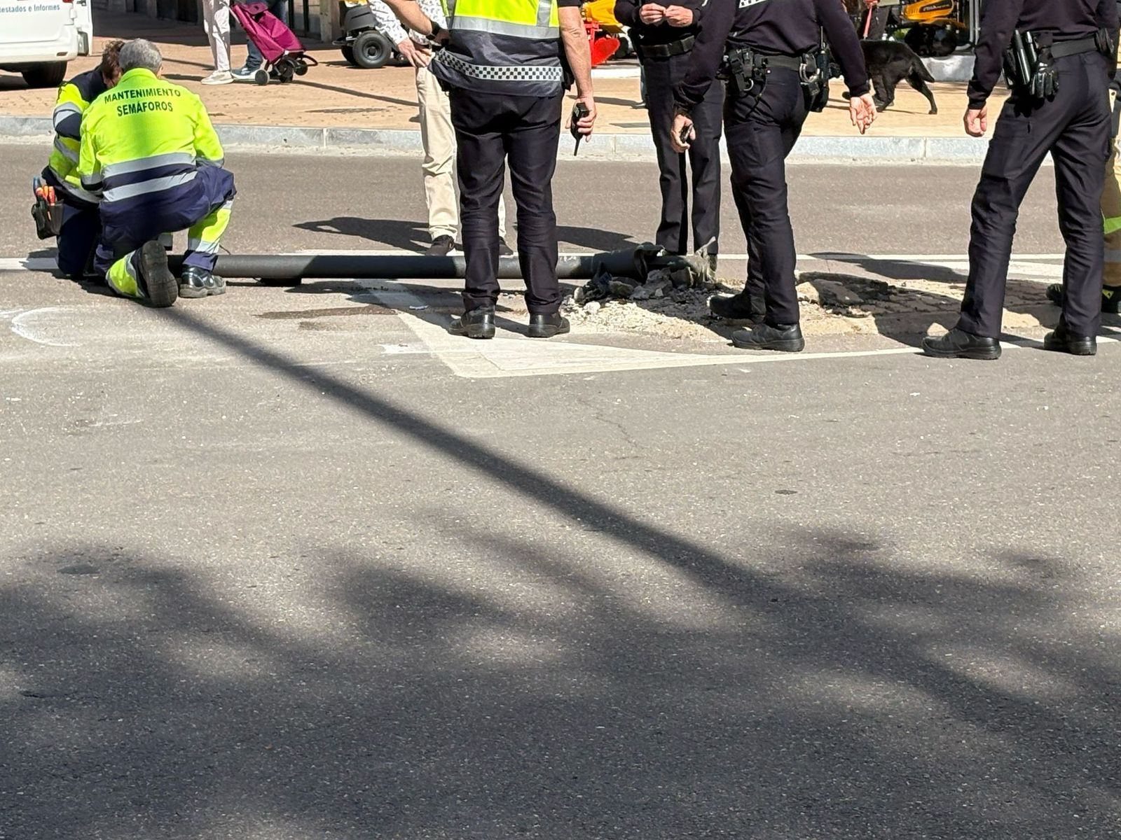 whatsapp-image-2025-04-29-at-10-54-57