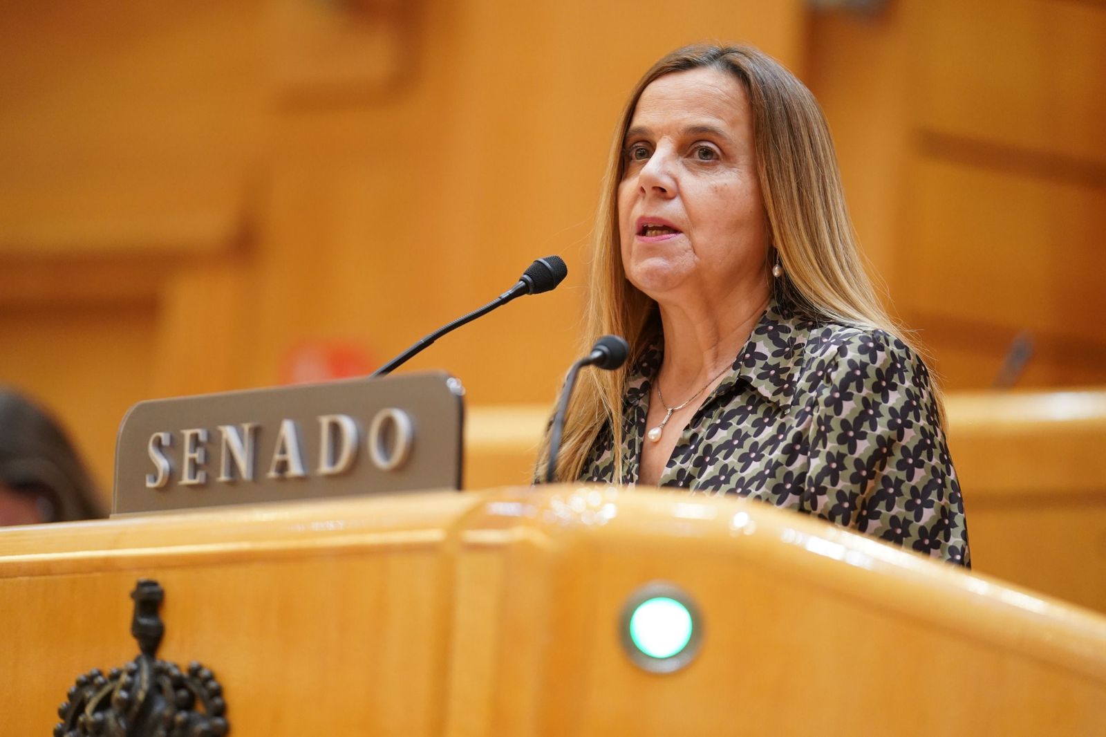 Esther del Brío en el Senado